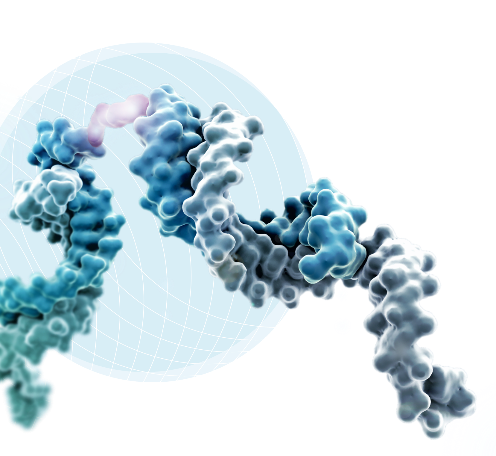 RNA Graphic