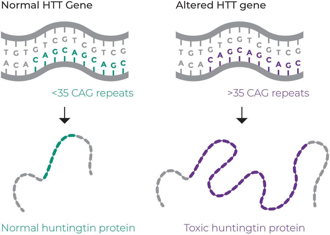 group-parts-elements