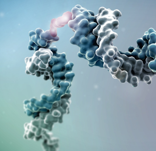 home pymol