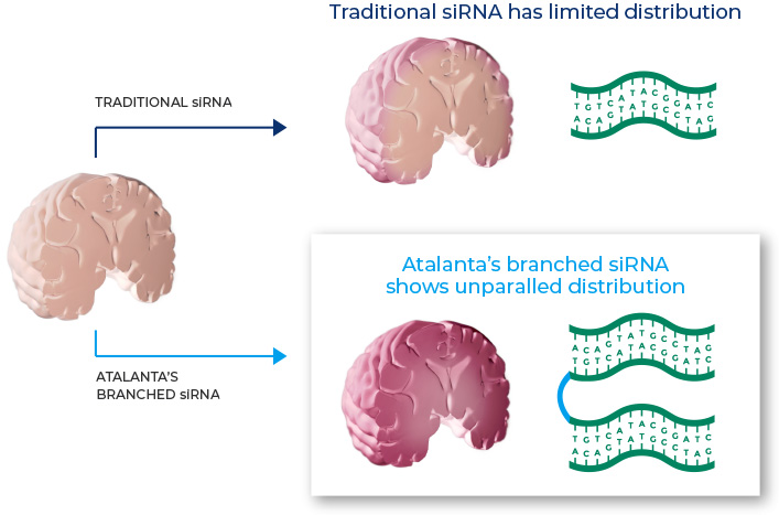 traditionalsrna v4